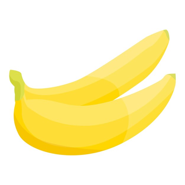 Vettore icona del ramo di banana isometrica dell'icona vettoriale del ramo di banana per il web design isolato su sfondo bianco