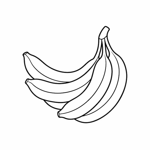 Vettore banana un ramo con banane in stile lineare illustrazione vettoriale