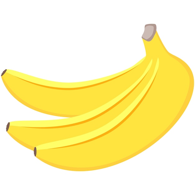 Banana bunch vector isolated fruit illustration on white