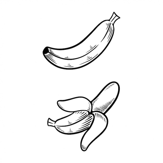 Banana doodle set illustration