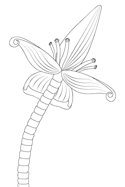 Vettore fiore di banana sketch fiore tropicale infiorescenza esotica in fiore stile doodle