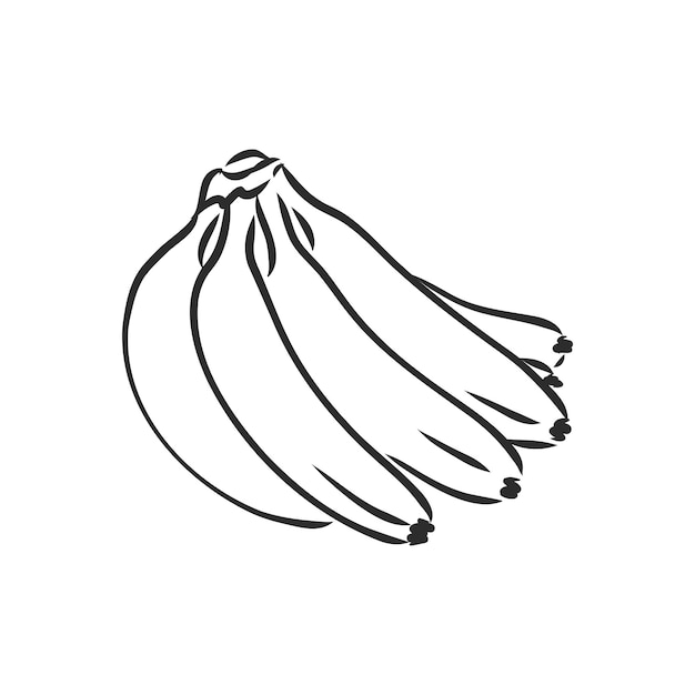 Mazzo di frutta di banana nutrizione biologica cibo sano