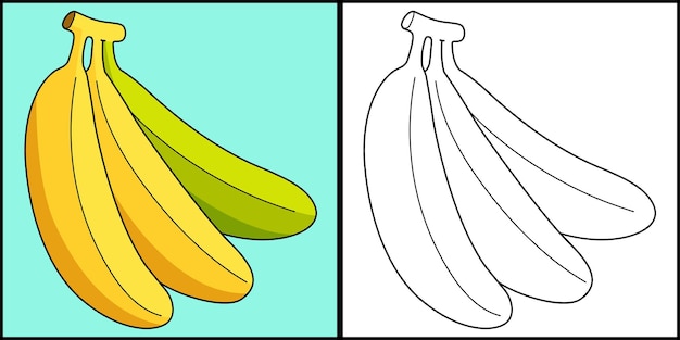 Vettore illustrazione a colori della pagina da colorare della frutta della banana