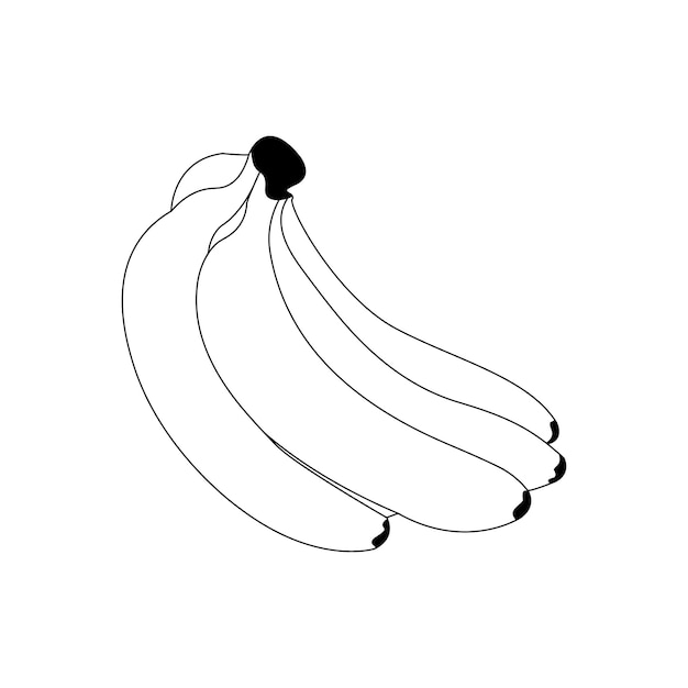 Vector banana fruit coloring page for kids