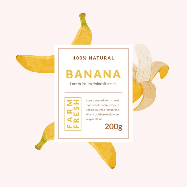 Banana fruit packaging design templates watercolour style vector illustration