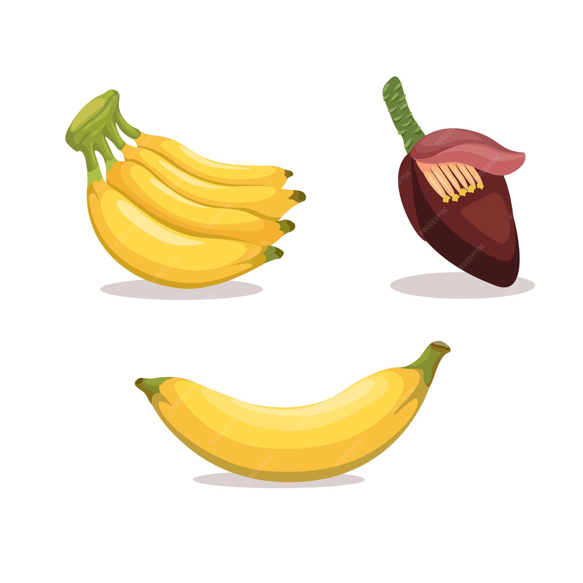 fruit banana cartoon vector object 4557519 Vector Art at Vecteezy