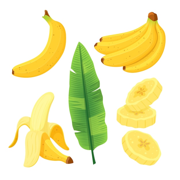 Banana fruit set cartoon vector