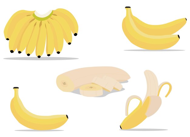 Vector banana fruit vector