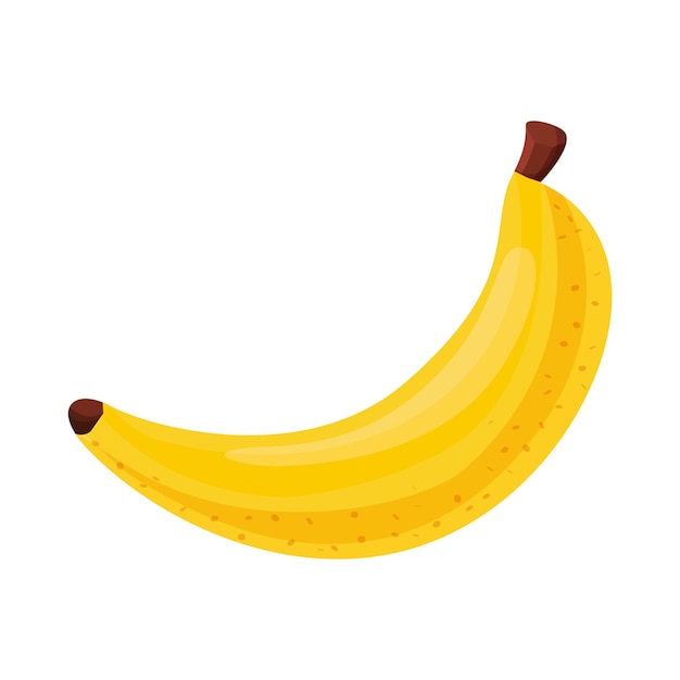 바나나 과일 벡터