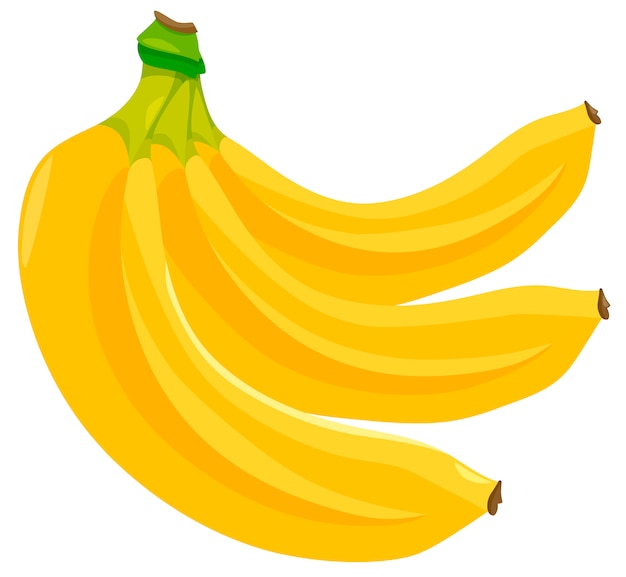 Banana fruits food object illustration