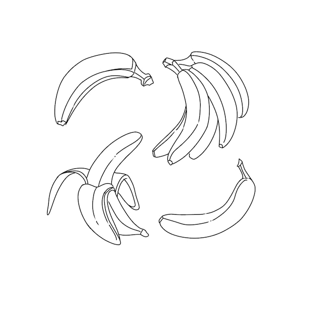 Банановый ручной рисунок иллюстраций векторный набор