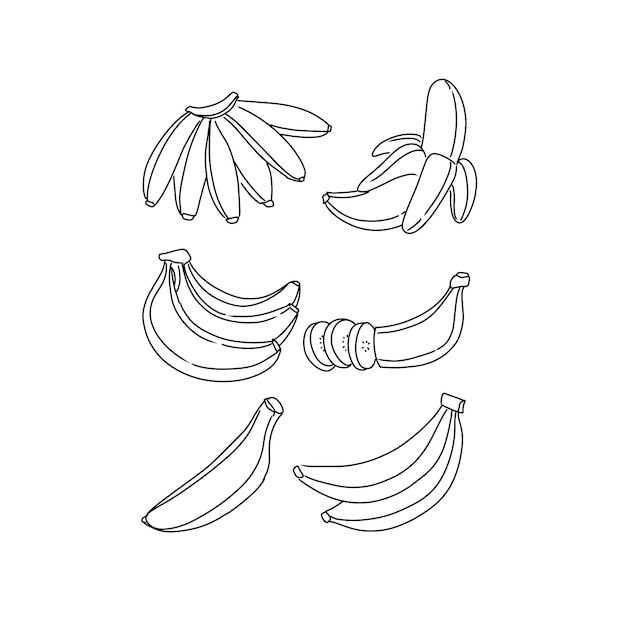 banana hand drawn doodle illustrations vector set