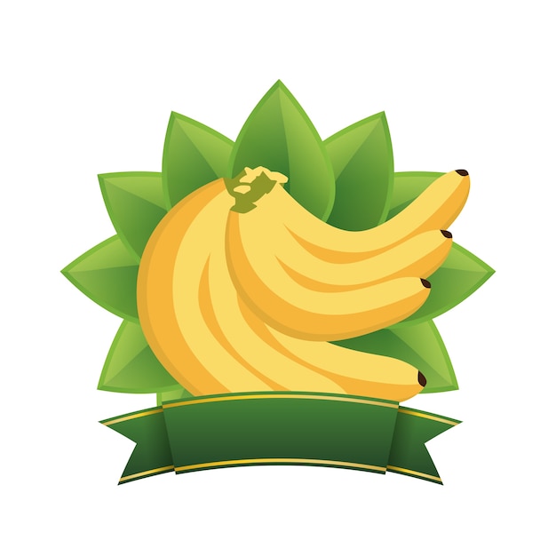 Banana healthy food menu banner