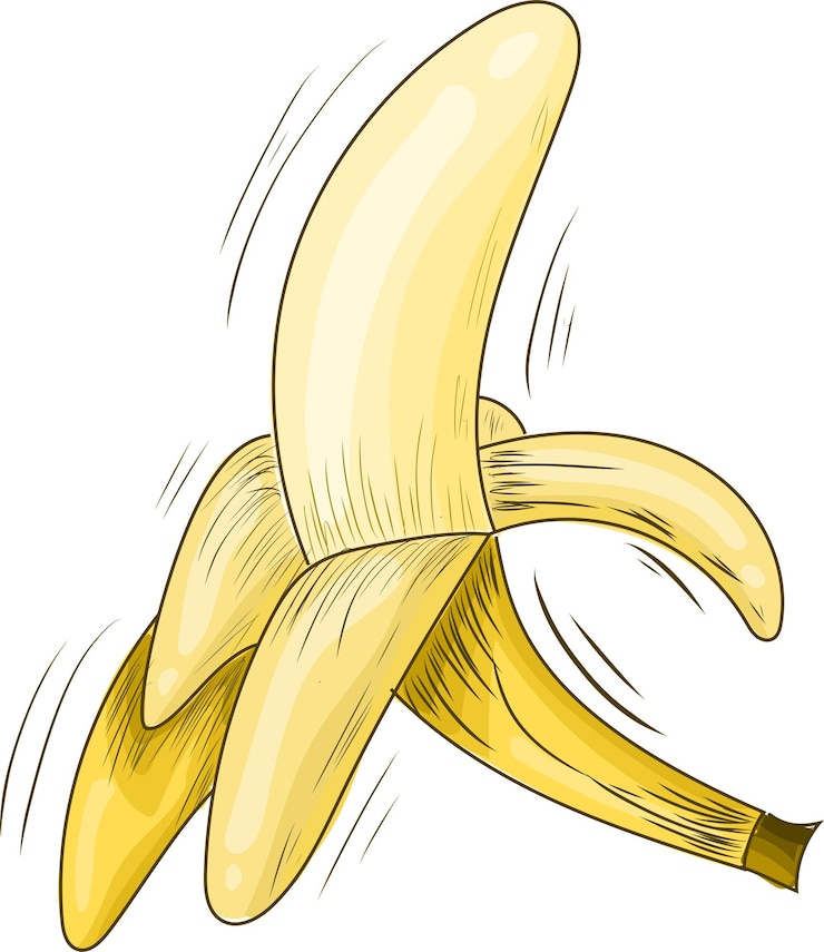 Vector banana illustration sketch style. hand drawn banana. yellow banana draw. sketch vector