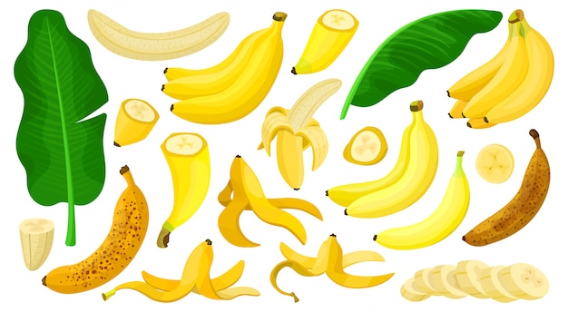 Banana isolated cartoon set icon.   illustration tropical fruit  cartoon