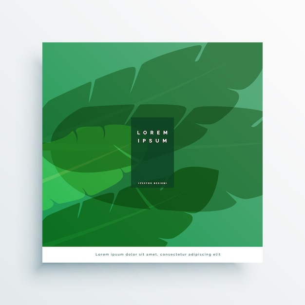 banana leaves vector card design