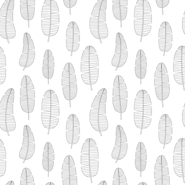 Banana leaves vector seamless pattern Banana leaves sketches pattern