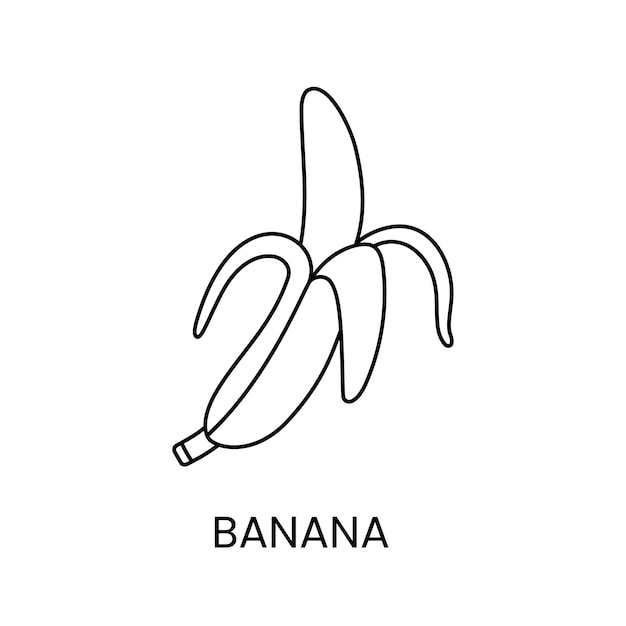 トロピカル フルーツのベクトル図のバナナ ライン アイコン