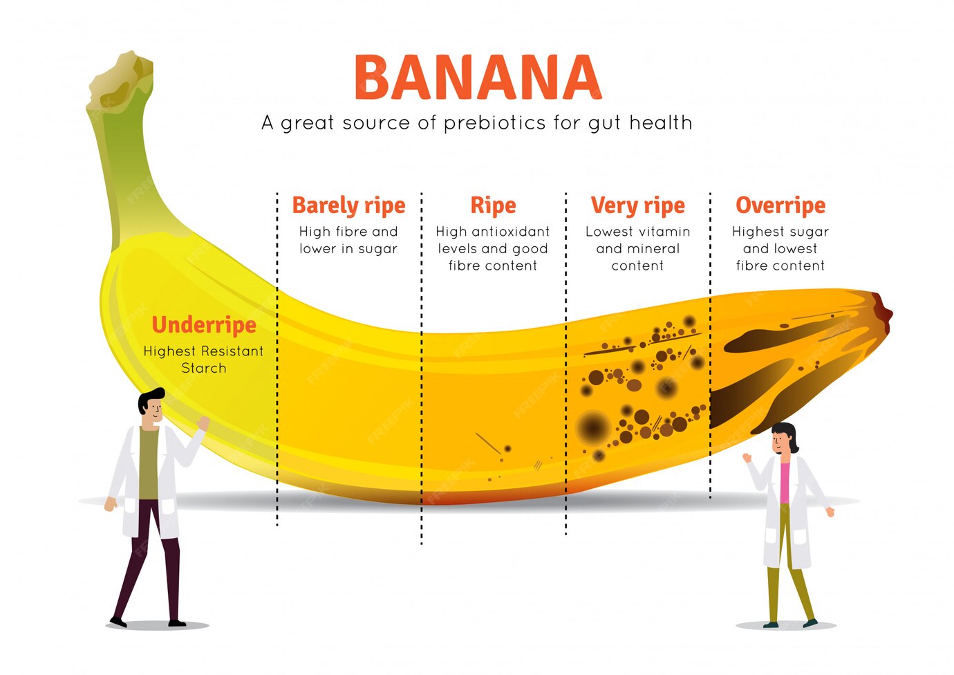 Premium Vector Banana nutrition facts illustration