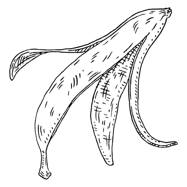 Vettore buccia di banana illustrazione monocromatica nera con incisione vintage isolata su bianco