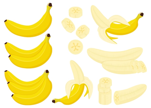 Vector banana set. whole, half and peeled banana, bunch of bananas and slices of banana isolated on white background, flat cartoon style, vector