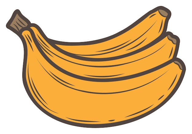 바나나 스티커 과일