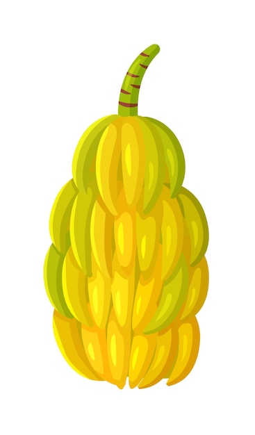 Mazzo di ramoscello di banana isolato su sfondo bianco