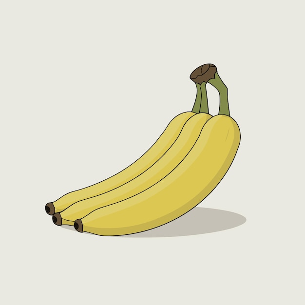 Banana vector illustration flat style Vector illustration of a banana