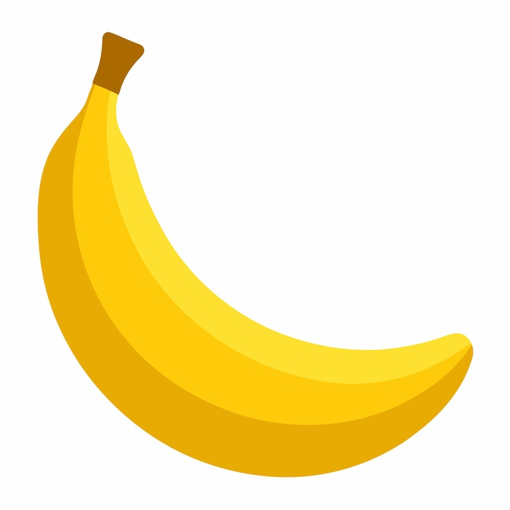 Vector banana vector and illustration