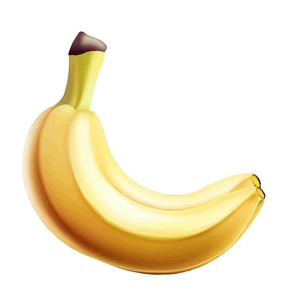 банановые векторные иллюстрации