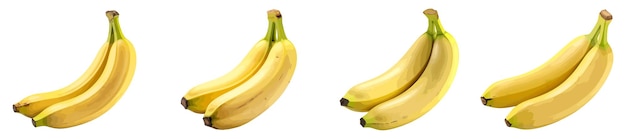 Insieme di vettore della banana isolato su priorità bassa bianca