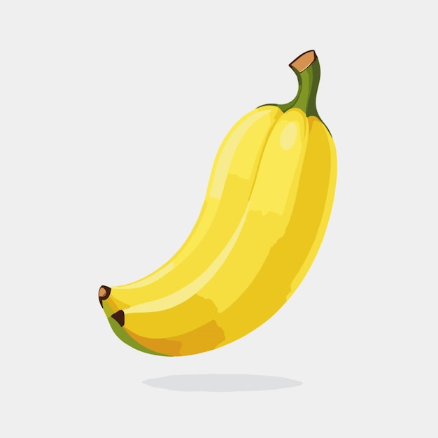 Vector banana vector on a white background