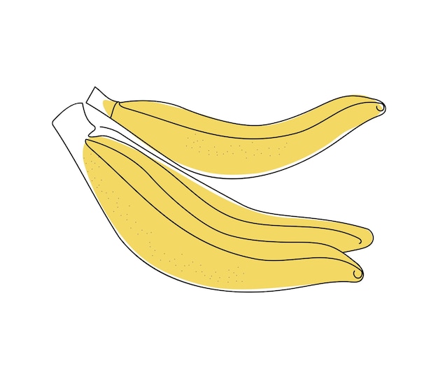 Bananas abstract one line drawings