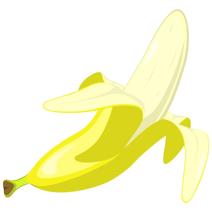 Vector bananas in flat style vector illustration isolated on white background