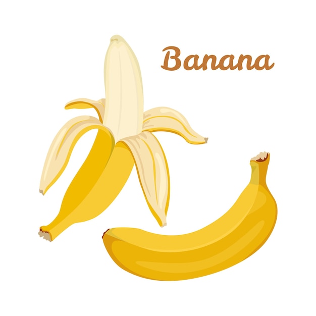 Vector bananas vector cartoon illustration