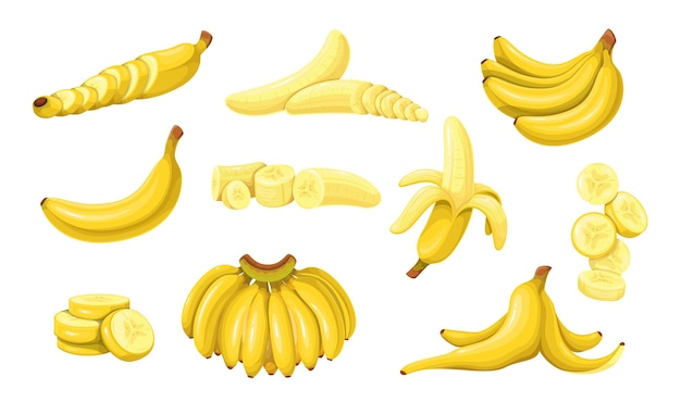 Vector bananen, halve gepelde banaan en plakjes