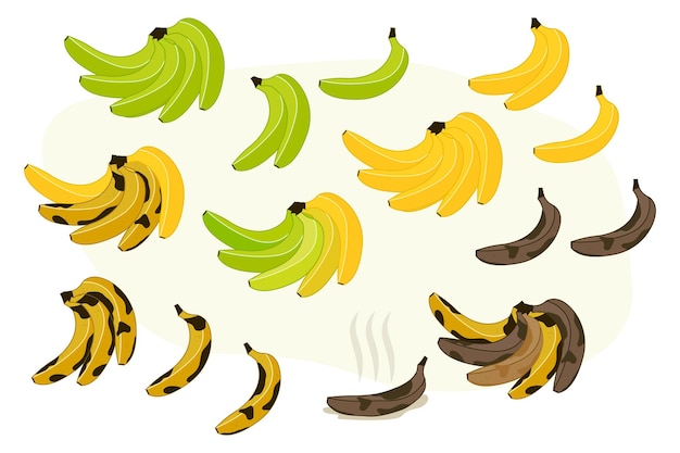 Bananen set