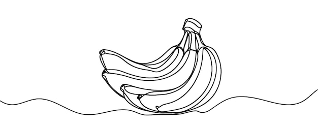 Bananen tak tekenen doorlopende lijn vector illustratie Bananen in één lijn