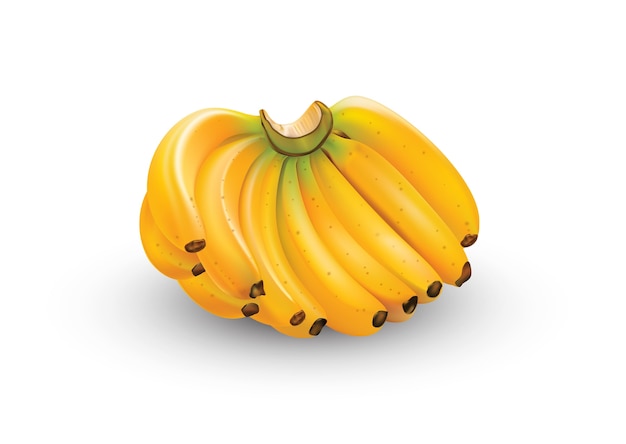 Bananen Vector kunst