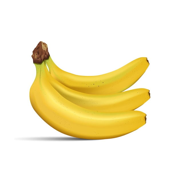 Vector bananen