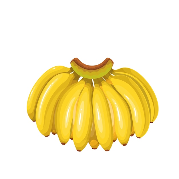 Bananentak fruit