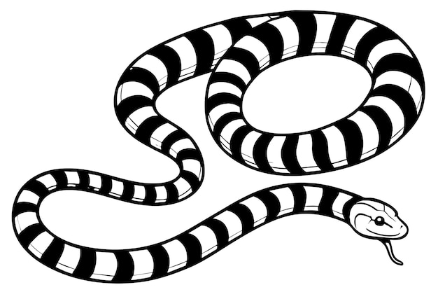 Vector banded sea krait black and white vector