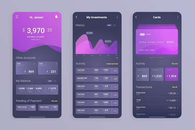 Vector banking app interface