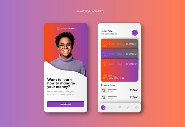 Vector banking app interface