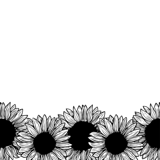 Bordo banner girasoli di inchiostro su sfondo bianco per biglietto di auguri line art