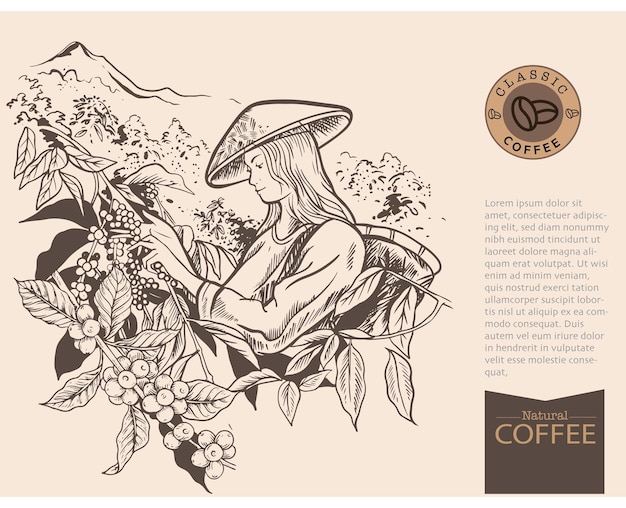 Vector banner and brochure template of coffee tree and farmer on sketch ink drawing for label packaging