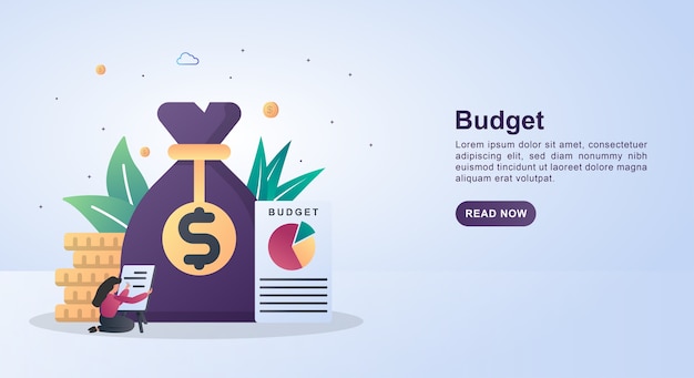 Banner concept of budget with paper reports and money bag.