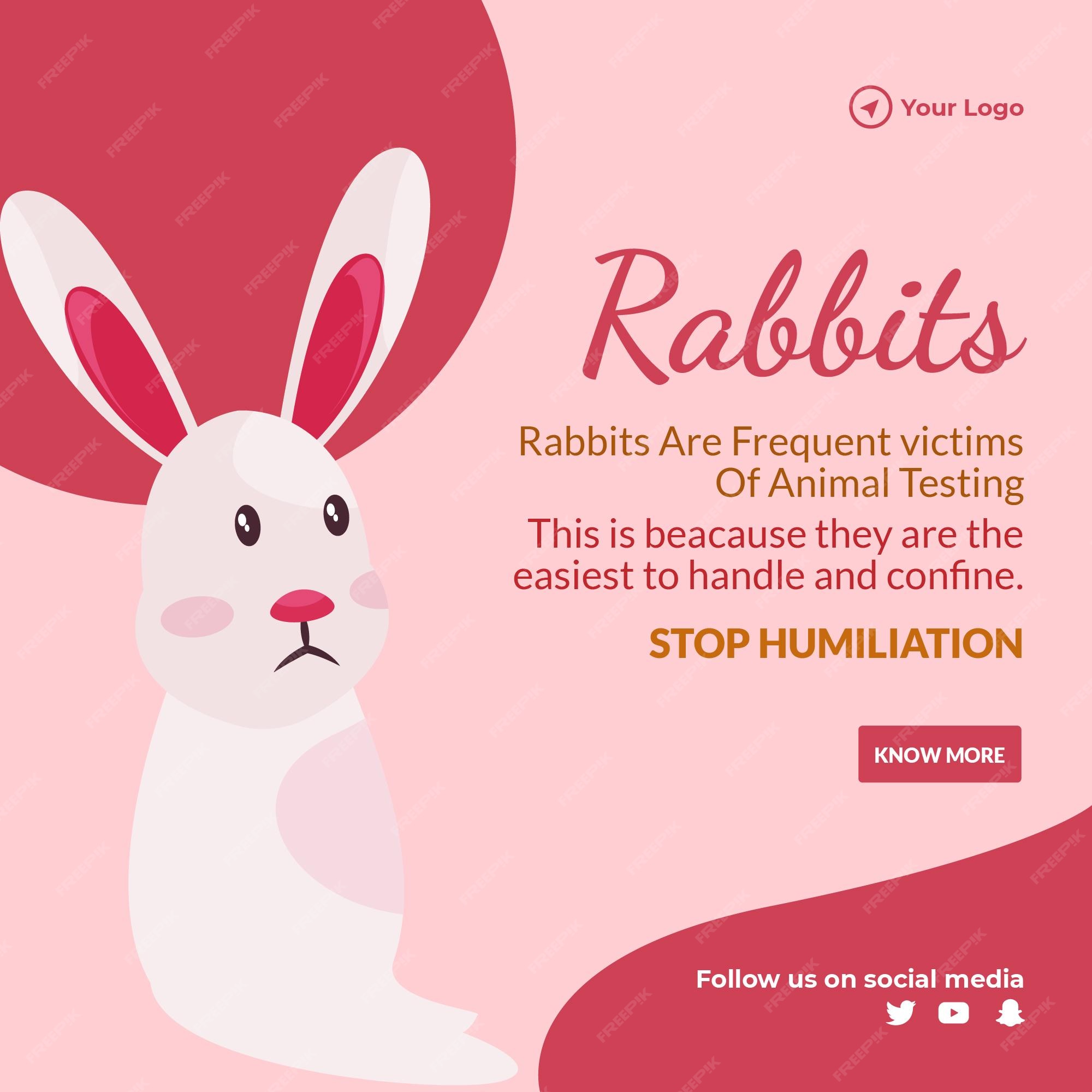 animal experimentation rabbits