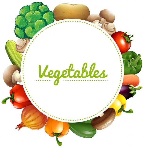 Banner design with fresh vegetables illustration