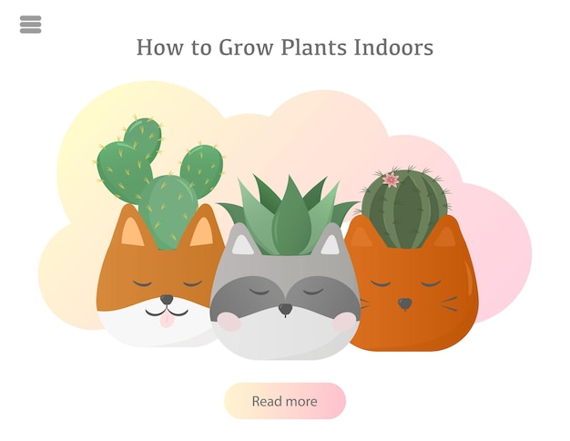 Banner for houseplants store gardening plant lover Vector illustration for articles poster bann